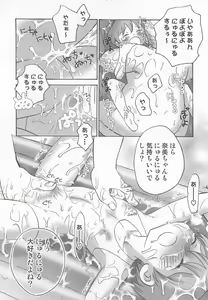 Page 95 of Iinari - preview thumbnail