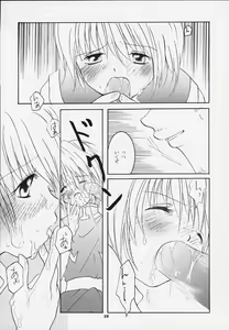 Page 33 of Pink Snow memoria - preview thumbnail