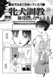 Mesuinu Choukyou — hentai manga cover on Fhentai