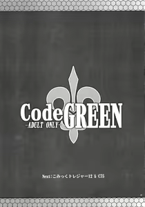 Page 24 of CodeGREEN - preview thumbnail