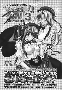 Page 412 of COMIC Megastore H 2010-02 - preview thumbnail
