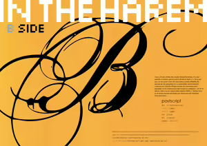 Page 2 of IN THE HAREM B SIDE | En el Harem - Parte B - preview thumbnail