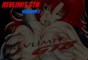 Page 3 of REVLIMIT GTB Version-F - preview thumbnail