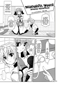 Page 22 of Wonderful Agent - preview thumbnail