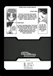 Page 29 of Steel Heroines Vol. 3 - preview thumbnail