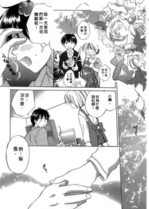 Page 164 of Ricachan House | 艷姿花孃 - preview thumbnail