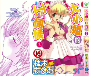 Ojou-sama no H na Gohoushi 2 - Got the Erotic Service from the wellbred girl | 大小姐的H伺候2 — hentai manga cover on Fhentai