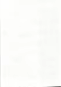 Page 195 of Tamari Masenwai - preview thumbnail