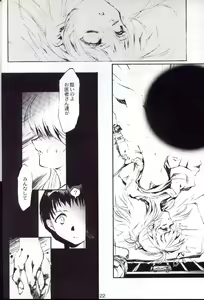 Page 21 of Houtai Shoujo THE THIRD - preview thumbnail