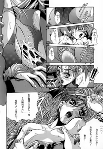 Page 19 of ESSENTIA SIDE.1.0 - preview thumbnail