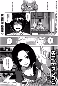 Broken Heart Destron — hentai manga cover on Fhentai