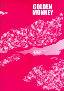 Page 26 of GOLDEN MONKEY - preview thumbnail