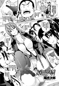 Hime to Boss Zaru — hentai manga cover on Fhentai