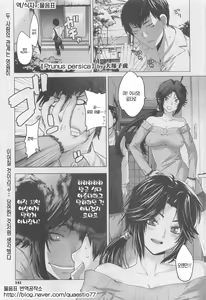 Prunus Persica — hentai manga cover on Fhentai