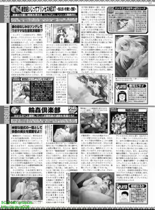 Page 255 of BugBug 2008-06 Vol. 166 - preview thumbnail