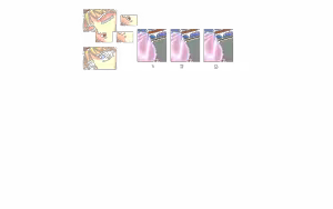 Page 473 of Dragon Knight 3 Knights of Xentar (uncensored) - preview thumbnail