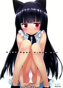 Nyan Nyan Black Cat — hentai manga cover on Fhentai