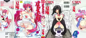 Otomedori (decensored) — hentai manga cover on Fhentai