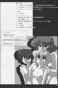 Page 3 of TOHO N+ DH - preview thumbnail