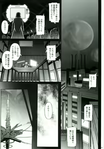 Page 3 of T-06 HAYATEN - preview thumbnail
