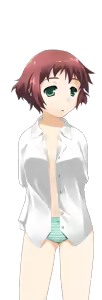 Page 1263 of Katawa Shoujo - preview thumbnail
