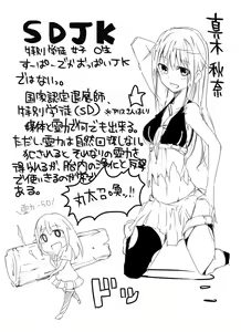 Page 25 of SDJK 2 - preview thumbnail
