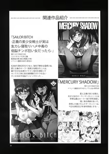 Page 25 of MERCURY SHADOW 2 - preview thumbnail