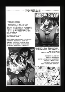 Page 25 of MERCURY SHADOW 2 - preview thumbnail