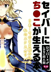 Saber ni Chinko ga Haeru Hon — hentai manga cover on Fhentai