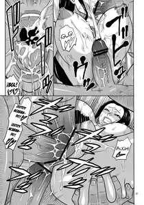 Page 22 of ROBIN SP2 - preview thumbnail