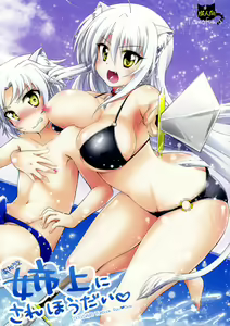 Aneue ni Sare Houdai - hentai manga cover image