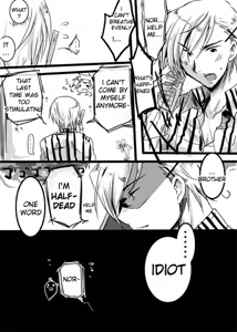 Page 14 of Denmark x Norway - preview thumbnail