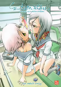 Watashi no sukina Onee-san — hentai manga cover on Fhentai