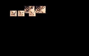 Page 172 of Tenshin Ranma - preview thumbnail