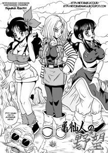 Page 6 of Kame Sennin no Yabou |  Kame-Sennin's Ambition - preview thumbnail
