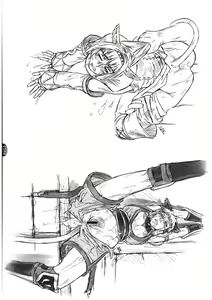 Page 18 of Mithman Report 2008. - preview thumbnail