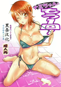 Nami-chan to mou 1kai! — hentai manga cover on Fhentai