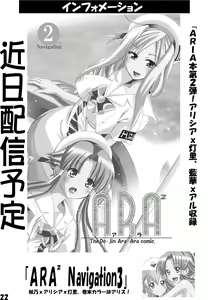 Page 22 of ARA 1 - preview thumbnail