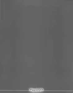 Page 28 of Freund - preview thumbnail