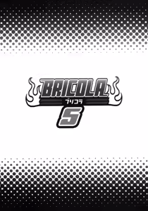 Page 23 of BRICOLA 5 - preview thumbnail