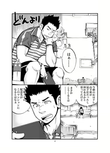 Page 3 of SGW2+ - preview thumbnail