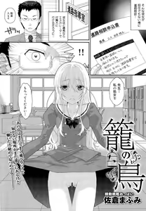 Page 304 of COMIC Maihime Musou Act. 03 2013-01 - preview thumbnail