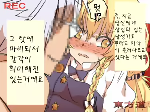 Page 19 of Touhou Hole in One - preview thumbnail