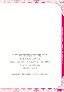 Page 17 of Moe Touhou Gensoukyou - Hakurei Shojo Kekkai EVOLVED Taikenban - preview thumbnail