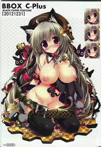 Page 3 of BBOX C-Plus 02 - preview thumbnail
