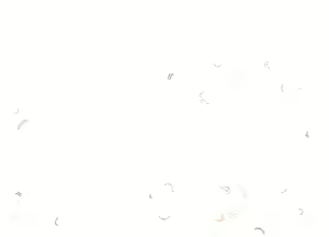 Page 140 of Boku ga Tenshi ni Natta Wake LOVE SONG OF THE ANGELS. - preview thumbnail
