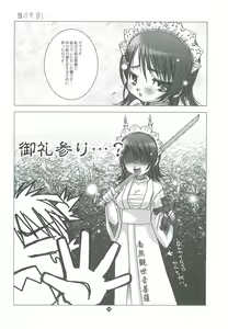 Page 17 of 49 - preview thumbnail