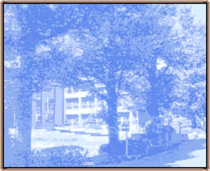 Page 196 of Memories Refrain - preview thumbnail