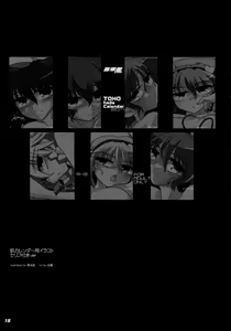 Page 16 of TOHO N+ M3 - preview thumbnail