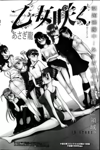 Page 96 of COMIC Penguin Club Sanzokuban 2013-04 - preview thumbnail
